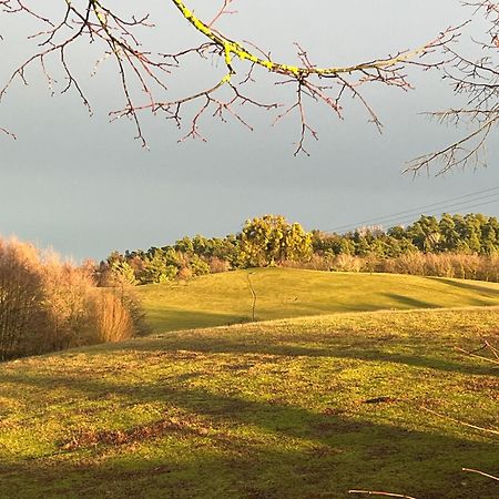 Kleine Backsteinloft Lägenhet Templin Exteriör bild