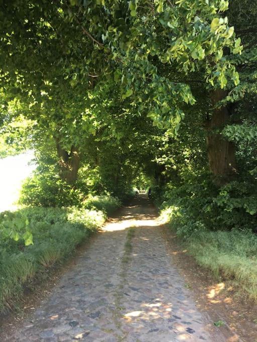Kleine Backsteinloft Lägenhet Templin Exteriör bild